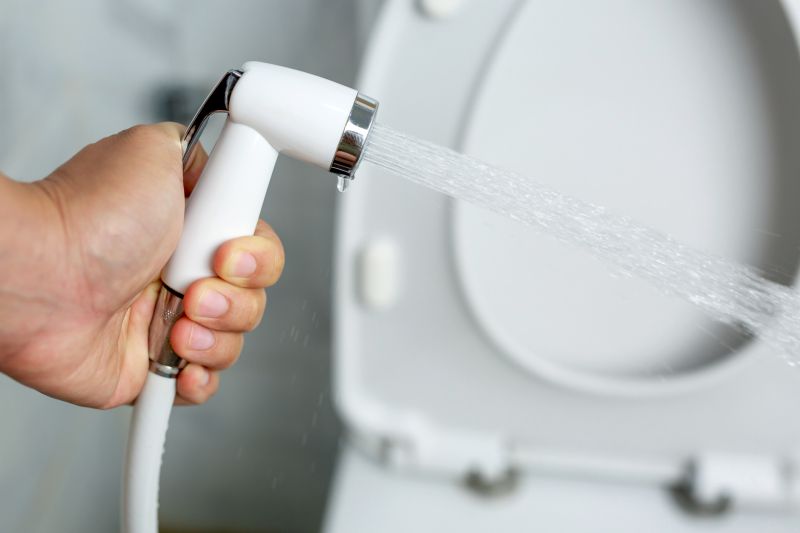 Bidet Installation in Denver, CO