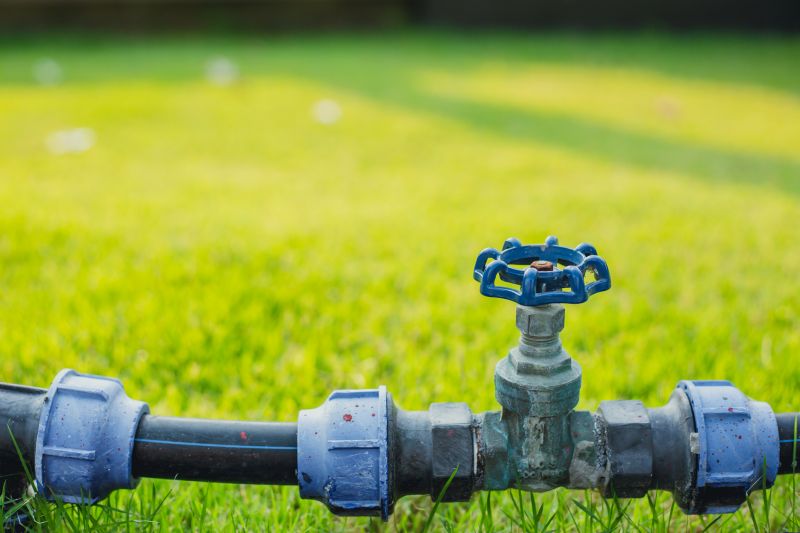 Eco-Friendly Options